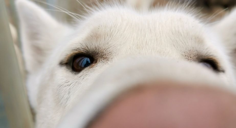 Zweden jongerenreizen